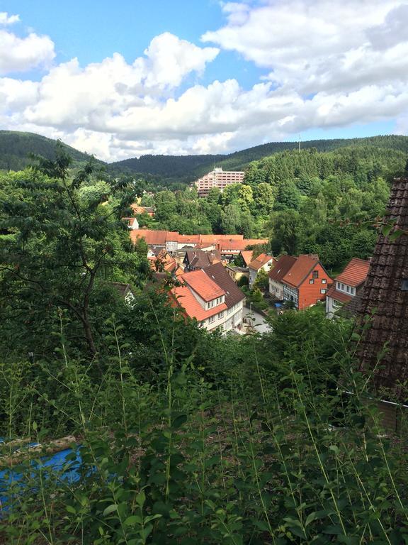 Ferienwohnung Zur Alten Post Bad Grund Luaran gambar