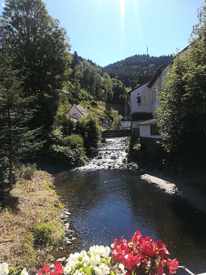 Ferienwohnung Zur Alten Post Bad Grund Luaran gambar