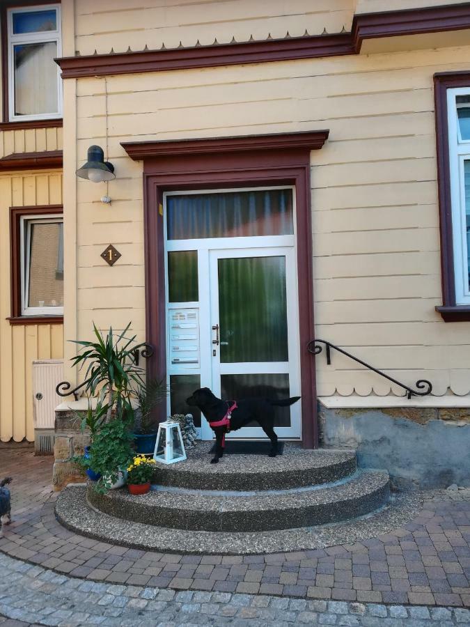 Ferienwohnung Zur Alten Post Bad Grund Luaran gambar